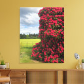 Prachtig Rhododendron en Schilderachtig Uitzicht i Canvas Afdruk (Insitu (Woonkamer))
