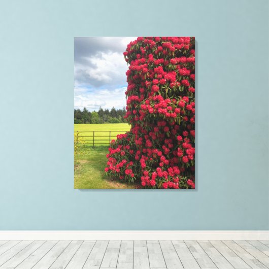 Prachtig Rhododendron en Schilderachtig Uitzicht i Canvas Afdruk (Insitu (Houten vloer))