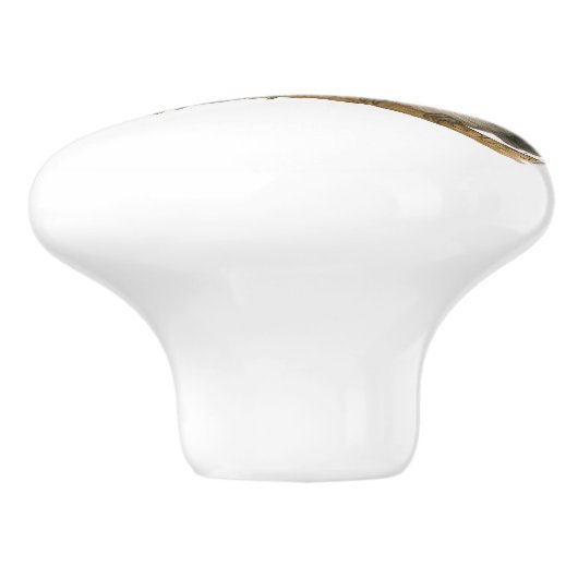 Prachtig Roos Borstbreek Keramische Knop (Zijkant)