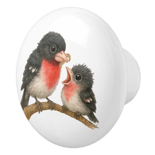 Prachtig Roos Borstbreek Keramische Knop (Rechts)