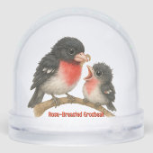 Prachtig Roos Borstbreek Sneeuwbol (Achterkant)