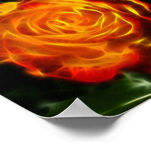 Prachtig Roos in brand Poster (Hoek)