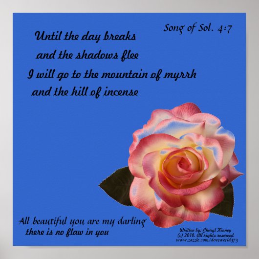 Prachtig Roos Poster (Voorkant)