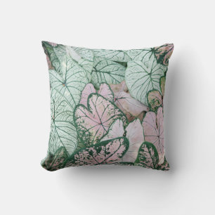 Prachtig roze en groen Planten kussen