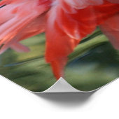 Prachtig Roze Poster Flamingo. (Hoek)