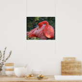 Prachtig Roze Poster Flamingo. (Keuken)