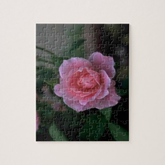 Prachtig Roze Single Roos Legpuzzel (Verticaal)