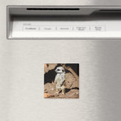 Prachtig schattig lief Afrikaans merkat dier Magneet (Insitu (Vaatwasser))