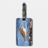 Prachtig Semipalmated Plover bij het strand Bagagelabel (Achterkant verticaal)