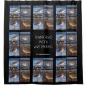 Prachtig Semipalmated Plover bij het strand Douchegordijn (Voorkant)