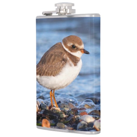 Prachtig Semipalmated Plover bij het strand Heupfles (Links)