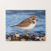 Prachtig Semipalmated Plover bij het strand Legpuzzel (Horizontaal)