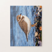 Prachtig Semipalmated Plover bij het strand Legpuzzel (Verticaal)