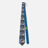 Prachtig Semipalmated Plover bij het strand Stropdas (Voorkant)