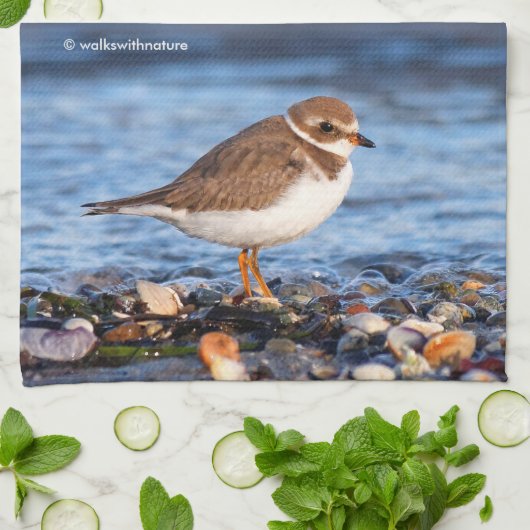 Prachtig Semipalmated Plover bij het strand Theedoek (Gevouwen)