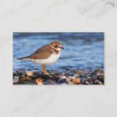 Prachtig Semipalmated Plover bij het strand Visitekaartje (Voorkant)