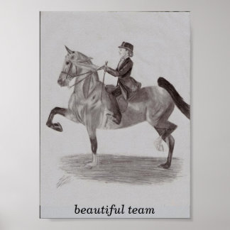 prachtig team poster