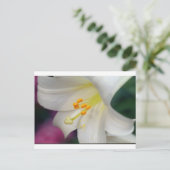 Prachtig terwijl Lily Briefkaart (Staand voorkant)