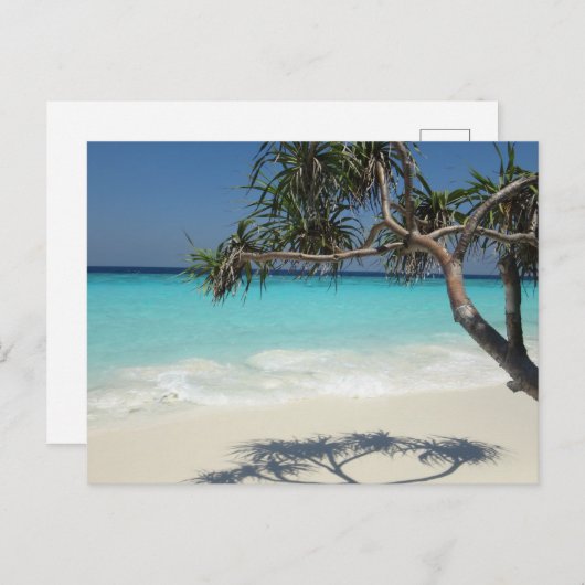 Prachtig tropisch strand in het zeeparadijs briefkaart (Voorkant / Achterkant)