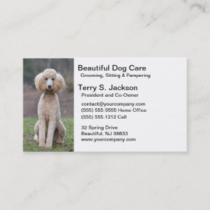 Prachtig Visitekaartje voor Dog Care