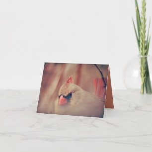 Prachtig Vrouw Kardinaal Bird Kaart
