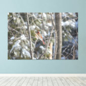 Prachtig Vrouw kardinaal Canvas Afdruk (Insitu (Houten vloer))