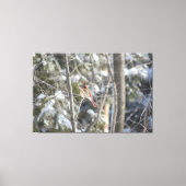 Prachtig Vrouw kardinaal Canvas Afdruk (Voorkant)