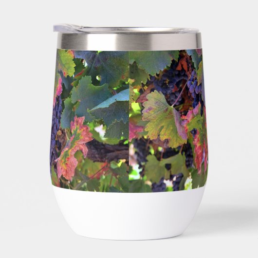 Prachtig wijnglas met druiven (Rechts)