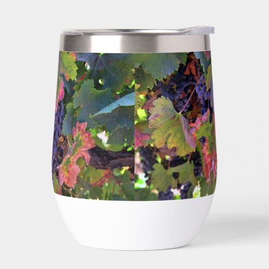 Prachtig wijnglas met druiven (Links)