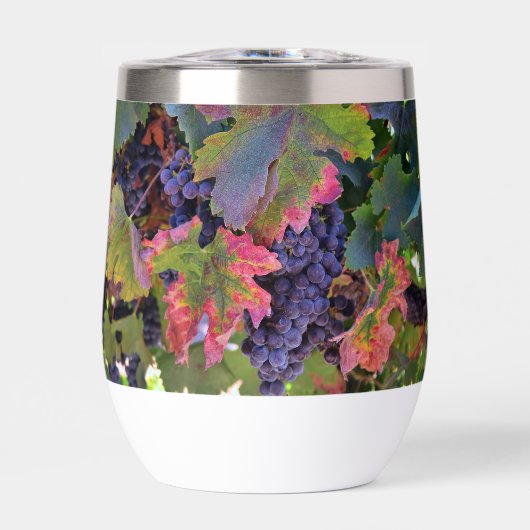 Prachtig wijnglas met druiven (Voorkant)