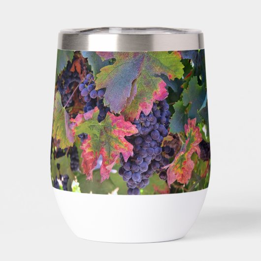 Prachtig wijnglas met druiven (Achterkant)