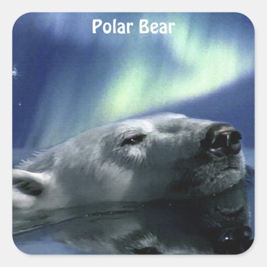 Prachtig Wildlife Design voor Dierenliefhebber Vierkante Sticker (Voorkant)