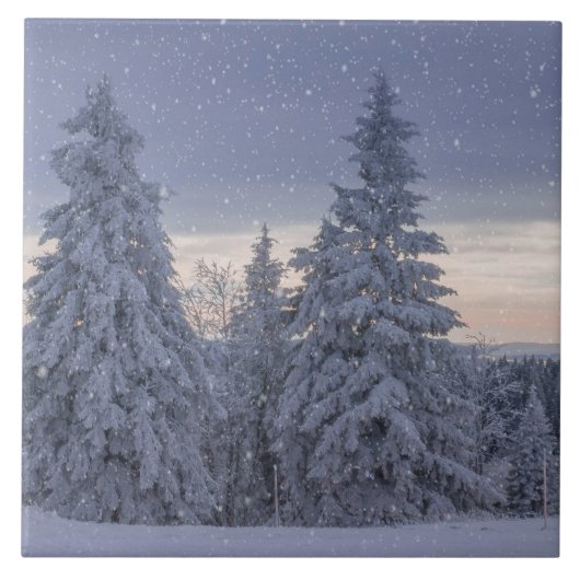 Prachtig winterlandschap als het sneeuwt tegeltje (Voorkant)