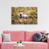 Prachtig wit Praire Horse Poster Canvas Afdruk (Insitu (Woonkamer))