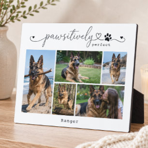 Prachtig Witte Huisdier Foto Geschenk met Vijf Fot Fotoplaat
