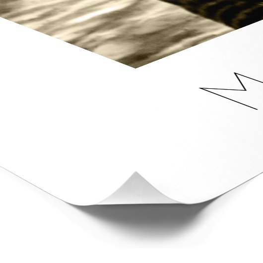 Prachtig Zebra Poster/Afdruk! Foto Afdruk (Hoek)