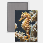 Prachtig zeepaardje en koraalmagneet magneet (Voorkant / Achterkant)