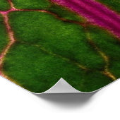 Prachtig zeer rood en groen bladpatroon van cabba poster (Hoek)