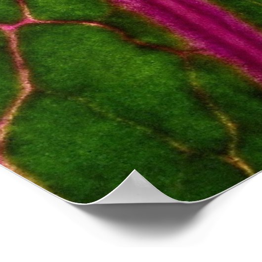 Prachtig zeer rood en groen bladpatroon van cabba poster (Hoek)