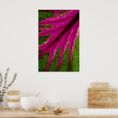 Prachtig zeer rood en groen bladpatroon van cabba poster (Keuken)