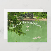 Prachtig Zomer meer met eenden. Briefkaart (Voorkant / Achterkant)