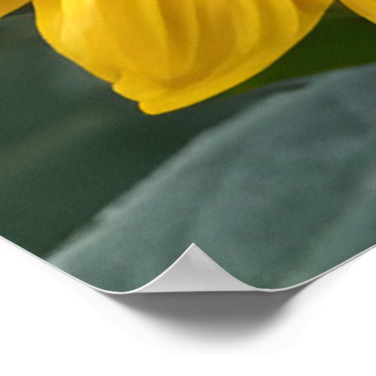 Prachtig Zonnebloemenlandschap Gepersonaliseerd ci Poster (Hoek)