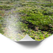 Prachtig Zuid-Australisch panorama Foto Afdruk (Hoek)