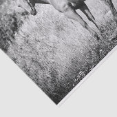 Prachtig zwart-witpapier met zwart-wit formaat tissuepapier (Detail)