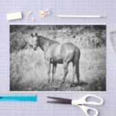 Prachtig zwart-witpapier met zwart-wit formaat tissuepapier (Craft)