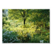 Prachtige 7x5 fotografische afdruk van scène (Voorkant)