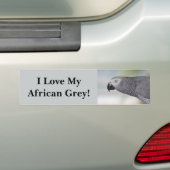 Prachtige Afrikaanse grijze papegaai Bumpersticker (Op auto)