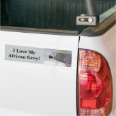 Prachtige Afrikaanse grijze papegaai Bumpersticker (Op Truck)