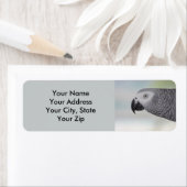 Prachtige Afrikaanse grijze papegaai Etiket (Insitu)