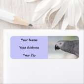 Prachtige Afrikaanse grijze papegaai Etiket (Insitu)